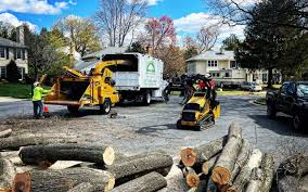 Best Storm Damage Tree Cleanup  in Mountain House, CA